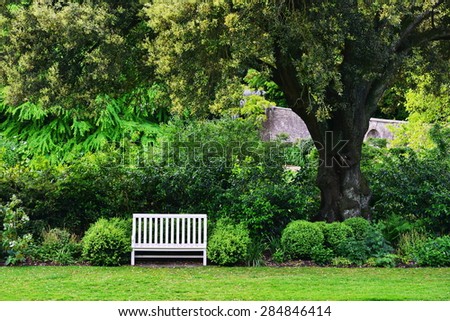 Scenic View of of a Peaceful Green Garden