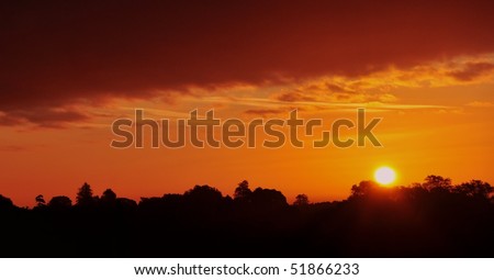 Sun Rising above a Forest