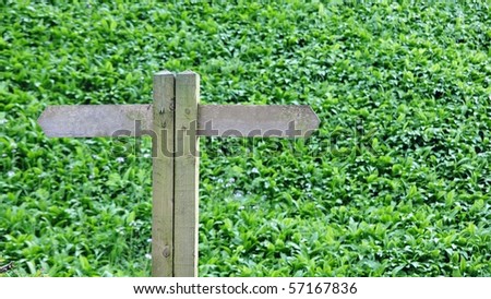 Blank Wooden Signpost against Lush Green Foliage