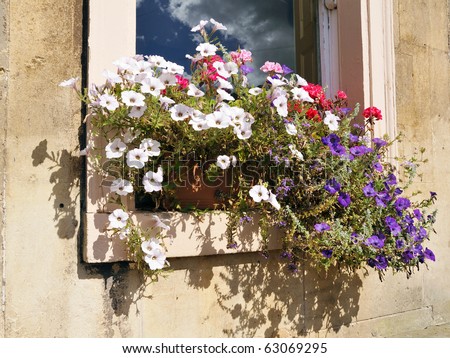 Detail of a Window Flower Box
