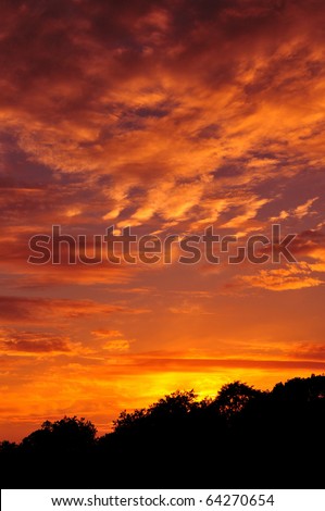 Colourful Sky and Forest Silhouette at Sunset
