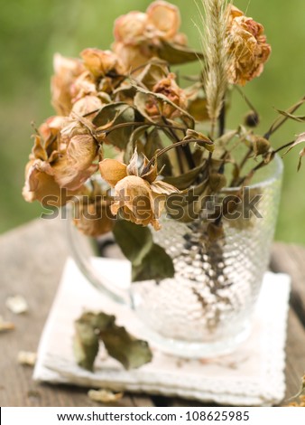 Wilted roses in glass, selective focus