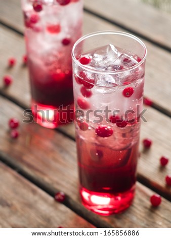 Refreshing cocktail with sparkling water with ice and cranberry, selective focus