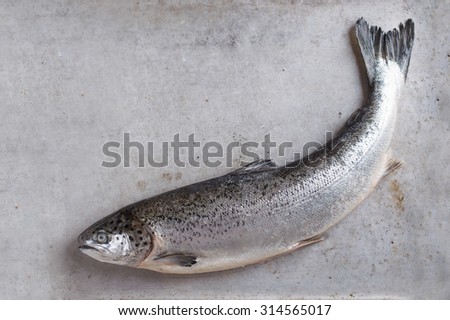 Fresh salmon on stone background, selective focus