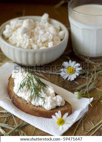bowl of cottage cheese and glass of milk with daisy on background