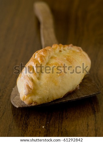 Traditional russian pie with meat