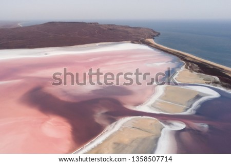 Pink Koyashskoye salt lake in Krym and Black Sea coast. Aerial view. Trendy coral color Zdjęcia stock © 