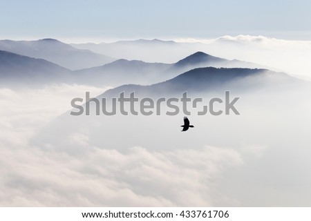 Similar – Foto Bild Entfernte Vögel fliegen am Himmel an den Outer Banks in North Carolina