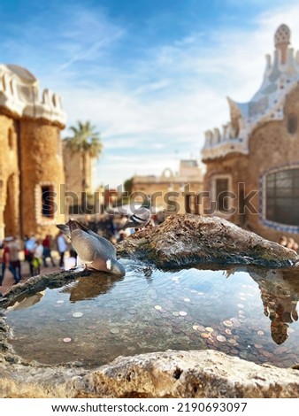 Similar – Image, Stock Photo Sea of doves Barcelona