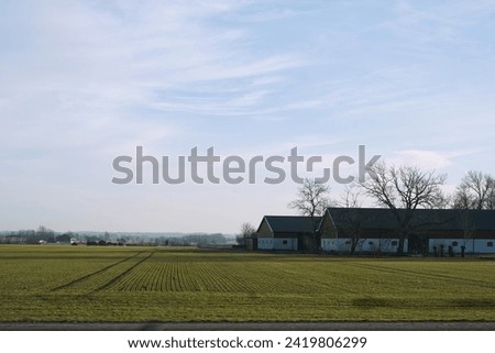 Similar – Image, Stock Photo Snow Stories Agriculture