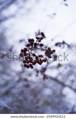 Similar – Foto Bild Endlich angekommen!