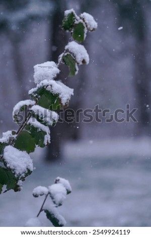 Similar – Foto Bild Endlich angekommen!