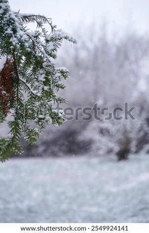 Similar – Foto Bild Endlich angekommen!