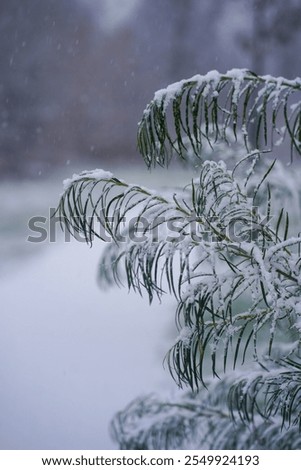 Similar – Foto Bild Endlich angekommen!