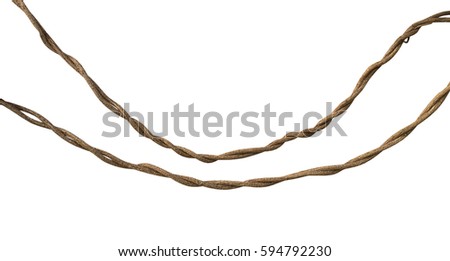 Similar – Image, Stock Photo Curved branch of a rosebush in front of a white wall