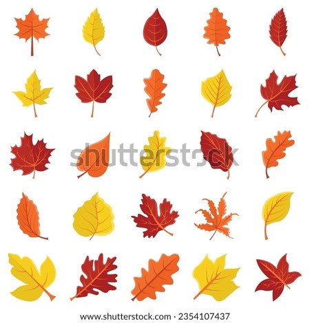 Maple leaf logo design vector illustration template