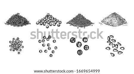 Piles of spices. Black pepper peas, sesame seeds, poppy seeds, caraway seeds. Spices set. Natural seasoning and cooking ingredient. Vector line art illustration on white background