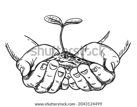Vector illustration of a young plant with earth in hands. Palm trees holding sprouts in sketch style isolated on white. Care of the Environment. Ecology concept. 