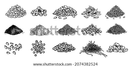 Piles of spices. Black pepper, sesame seeds, poppy seeds, caraway seeds, saffron, marjoram, cumin, cardamom. Spices set. Natural seasoning and cooking ingredient. Vector sketch on white background