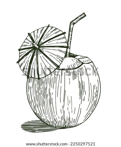 Cocktail of coconut sketch. Illustration of a coconut with a cocktail inside with straws and an umbrella. Pina colada cocktail in coconut with umbrella. Doodle Vector style
