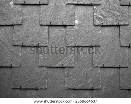 Similar – Image, Stock Photo Colorful facade cladding on a house next to the street