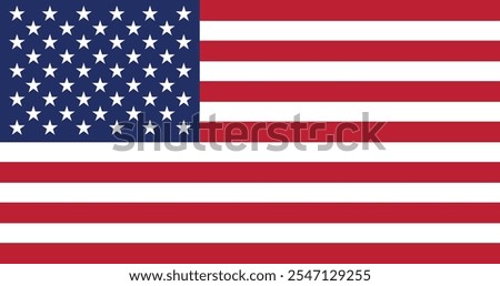 American USA flag vector illustration 