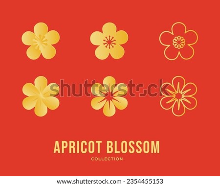 Vector illustration of golden apricot flower set. Hoa mai, the flowers of traditional Vietnamese new year, golden blossom