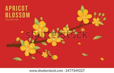 Vector illustration of yellow apricot flower branch. Hoa mai, the flowers of traditional Vietnamese new year, yellow blossom. Vector illustration