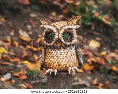 Similar – Image, Stock Photo Dried vine bundle as decoration at the insect hotel