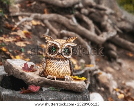 Similar – Image, Stock Photo Dried vine bundle as decoration at the insect hotel