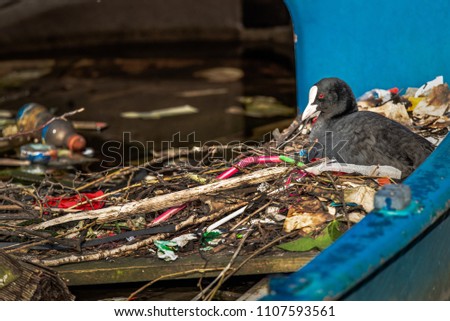 Similar – Image, Stock Photo Plastic waste on bird neck. Ducks and plastic pollution