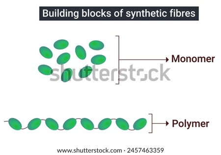 Building blocks of synthetic fibres: Monomer, Polymer