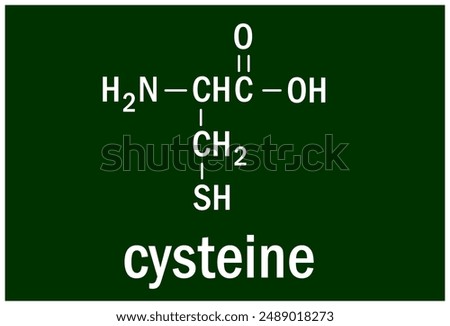 Isobutane is an alkane that is propane substituted by a methyl group at position 2.