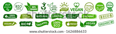Organic natural bio labels set icon, healthy foods badges, fresh eco vegetarian food – stock vector