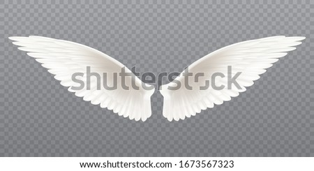 White realistic wings. Pair of white isolated angel style wings with feathers on transparent background, bird wings design - stock vector