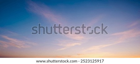 Similar – Image, Stock Photo Evening light in autumn forest