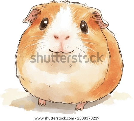 A cartoonish and child-friendly drawing on a white background. It features a simplified illustration of a Guinea Pig