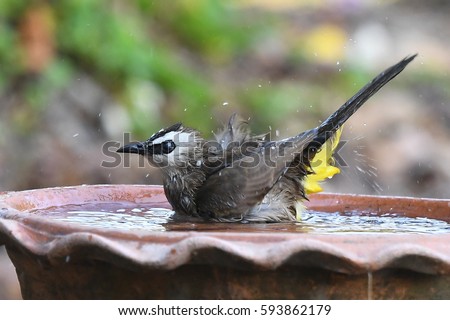 Similar – Image, Stock Photo Habitat / my Space cut