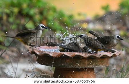 Similar – Image, Stock Photo Habitat / my Space cut