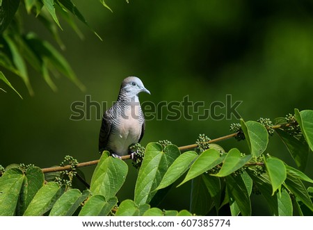 Similar – Image, Stock Photo Habitat / my Space cut