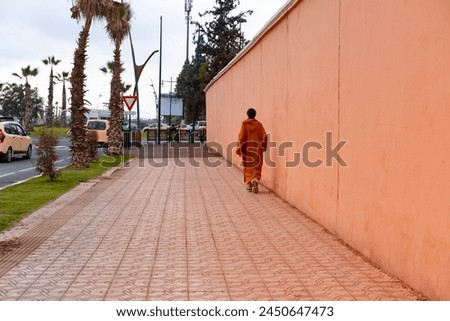 Similar – Image, Stock Photo Man walking down a staircase between two imposing buildings