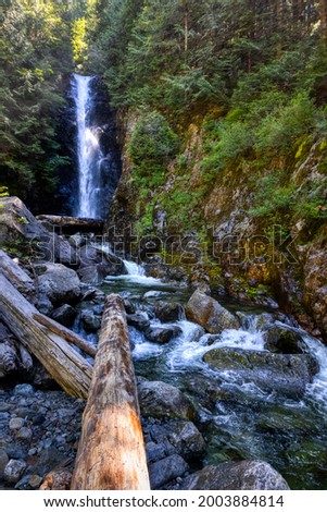 Norvan Falls and river stream in the natural canyon during the summer time. Canadian Nature Background. Lynn Valley, North Vancouver, British Columbia, Canada. Stok fotoğraf © 