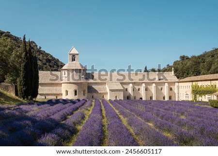 Similar – Image, Stock Photo Lavender in Provence