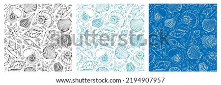 Similar – Image, Stock Photo Decorative stones and seashells on tray near dirt