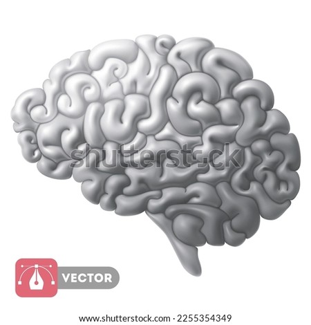 Brain, gray color, 3d convex cartoon icon. Vector realistic illustration