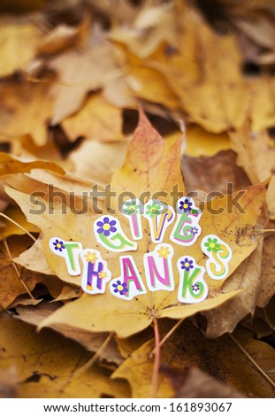 Maple leaf with letters thanksgiving on foliage