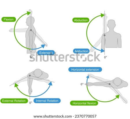 Shoulder joint motion and direction of motion