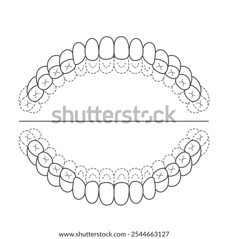 Permanent dentition brushing residue check sheet, plaque disclosing illustration.