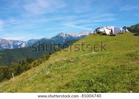 TOLMIN, SLOVENIA - AUGUST 20: Hang gliders standing on start in  the Kobala Open-2011 hang gliding competitions on August 20, 2011 near Tolmin, Slovenia.