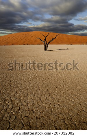 desert scene with dead tree and clouds and parched earth